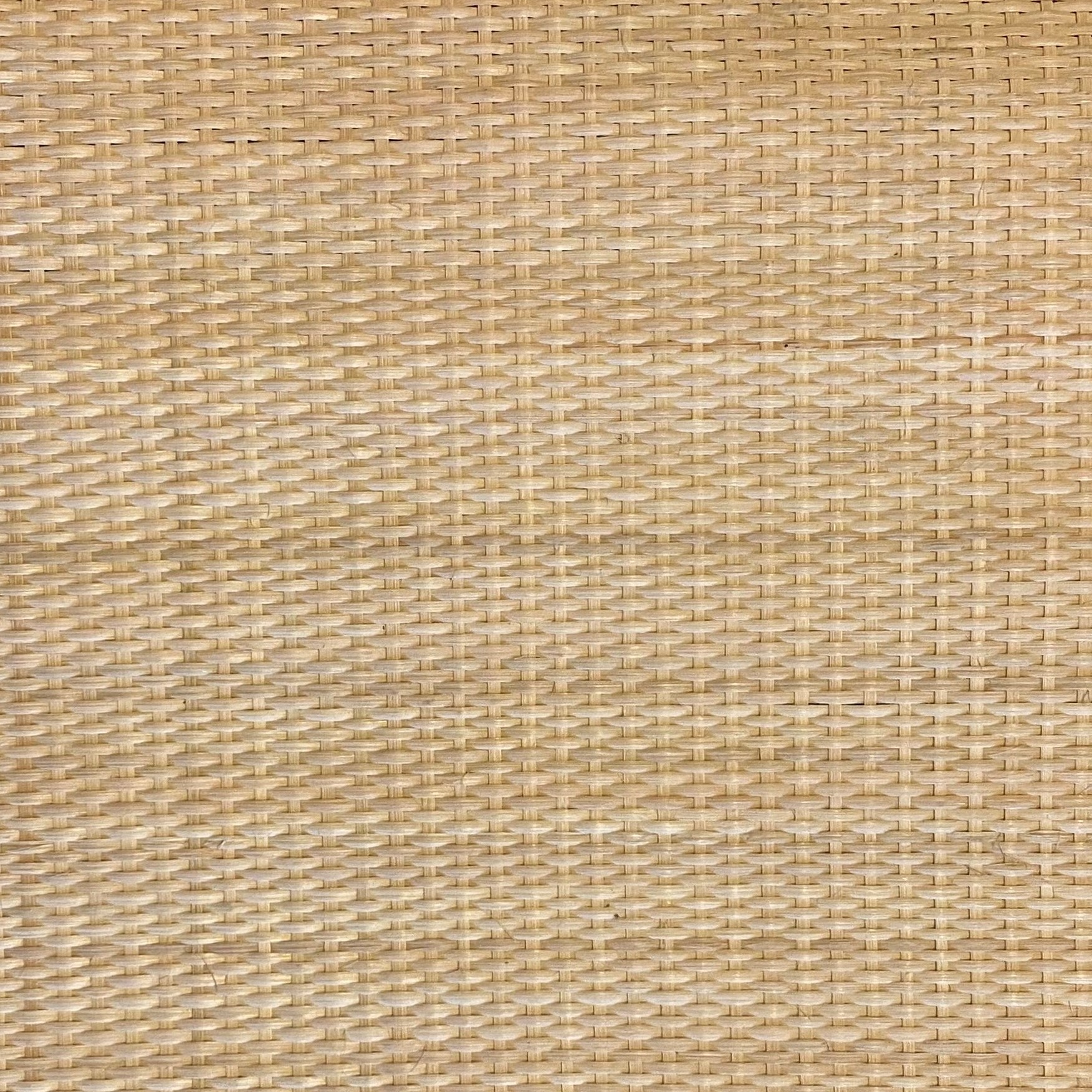Peddigschienengewebe 3 mm, Breite 60 cm