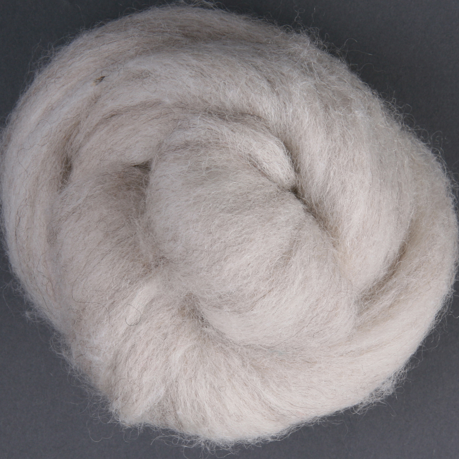 Ashford Kammzug Merino - Hellgrau-braun